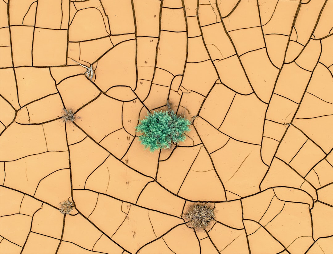 Ministerio para la Transición Digital